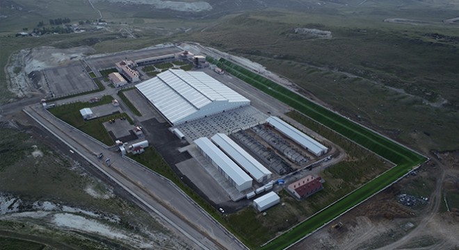  Erzurum  hayvan pazarı aktif hale geldi 