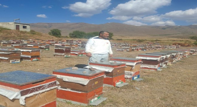 Arıcıların ayı nöbeti