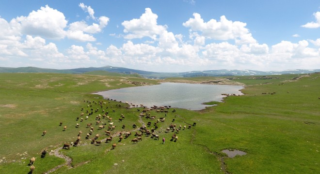 Büyükşehir den Gölet Rekoru