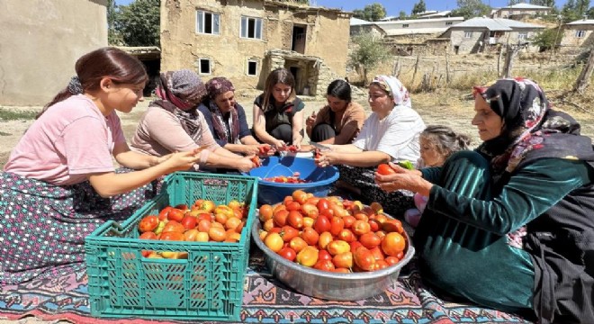 Doğu Anadolu’da imece usulü kış hazırlığı telaşı