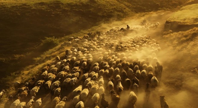 Doğu’da geleneksel besicilik kültürü yaşatılıyor