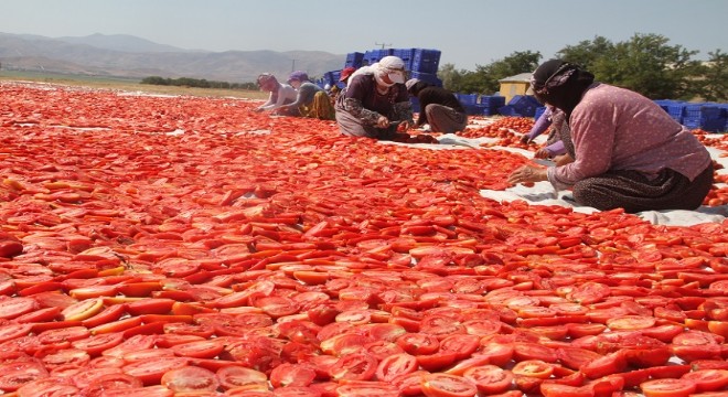 Doğu’dan girişimcilik dersi