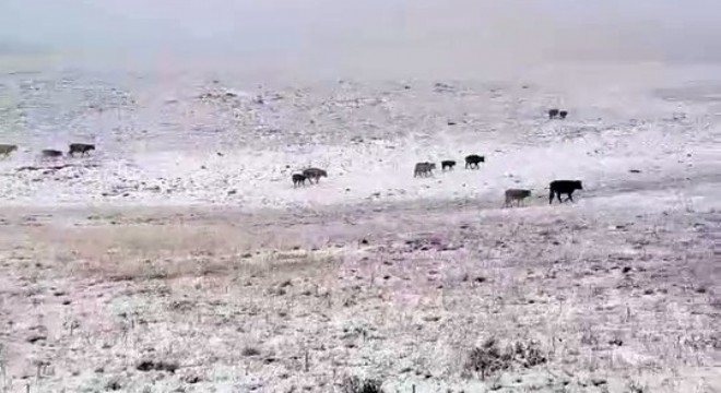 Erzurum a mevsimin ilk karı yağdı