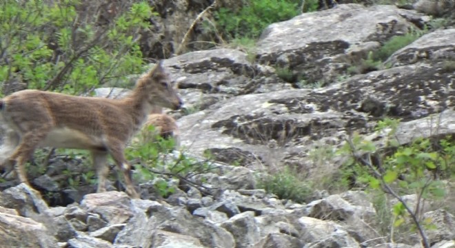 Erzurum dan bir doğa harikası