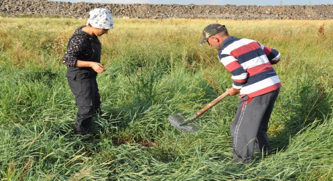 Hayallerini toprağa gömdü