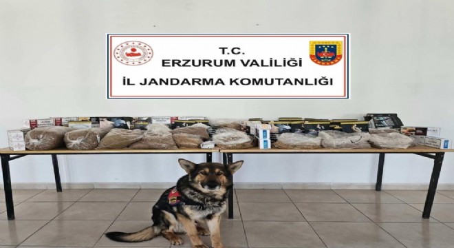 Horasan'da kaçak tütün operasyonu