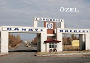 Kuzeydoğu şirketleşme verileri açıklandı