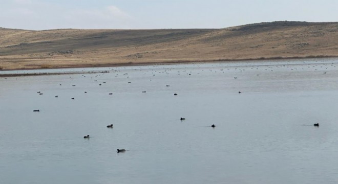 Karayazı Köyceğiz Göleti’nde görsel şölen