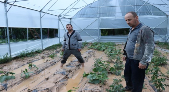 Oltu da sağanak yağış taşkına dönüştü