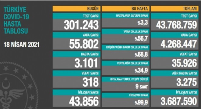 Son 24 saatte 318 kişi hayatını kaybetti