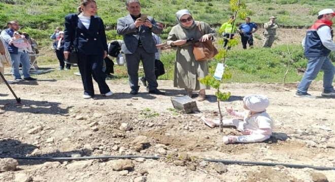 Tortum’da Yeni Doğan Bebekler Hatıra Ormanı