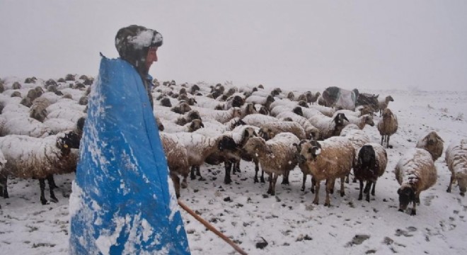 Yaylalardan köylere uzanan zorlu kış mesaisi