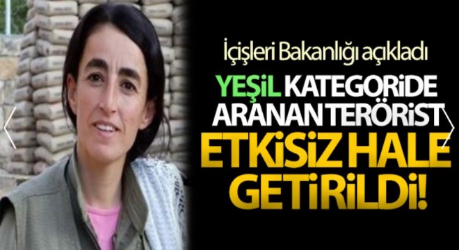 Yeşil kategoride aranan terörist etkisiz hale getirildi