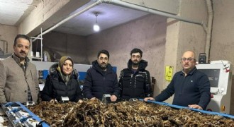 Atık yünler dönüşümle değer kazanıyor