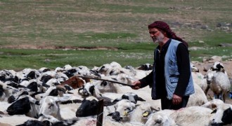 Besicilere destek verileri açıklandı