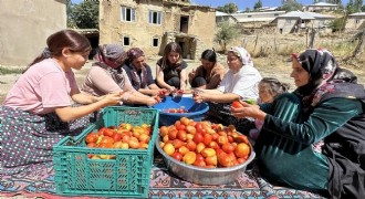 Doğu Anadolu’da imece usulü kış hazırlığı telaşı