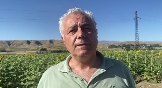 Erzurum’da ayçiçeği ve mısır üretimi artıyor