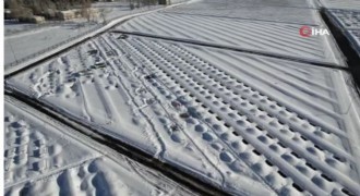 Erzurum'da kış gerçeği