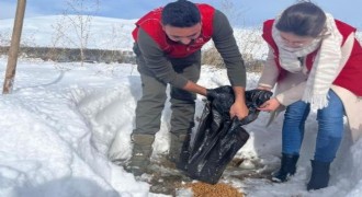 Gençlerden yaban hayatına destek