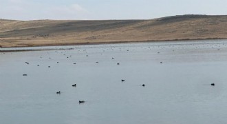 Karayazı Köyceğiz Göleti’nde görsel şölen