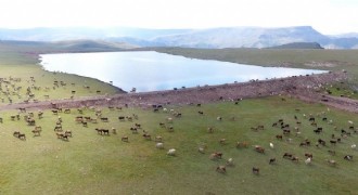 Yeşilyayla göletinde geri sayım